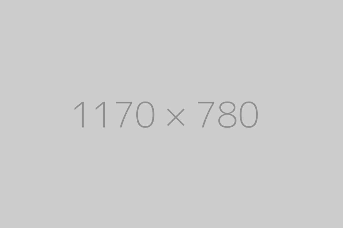 hongo 1170x780-ph