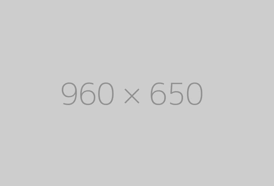 hongo 960x650-ph