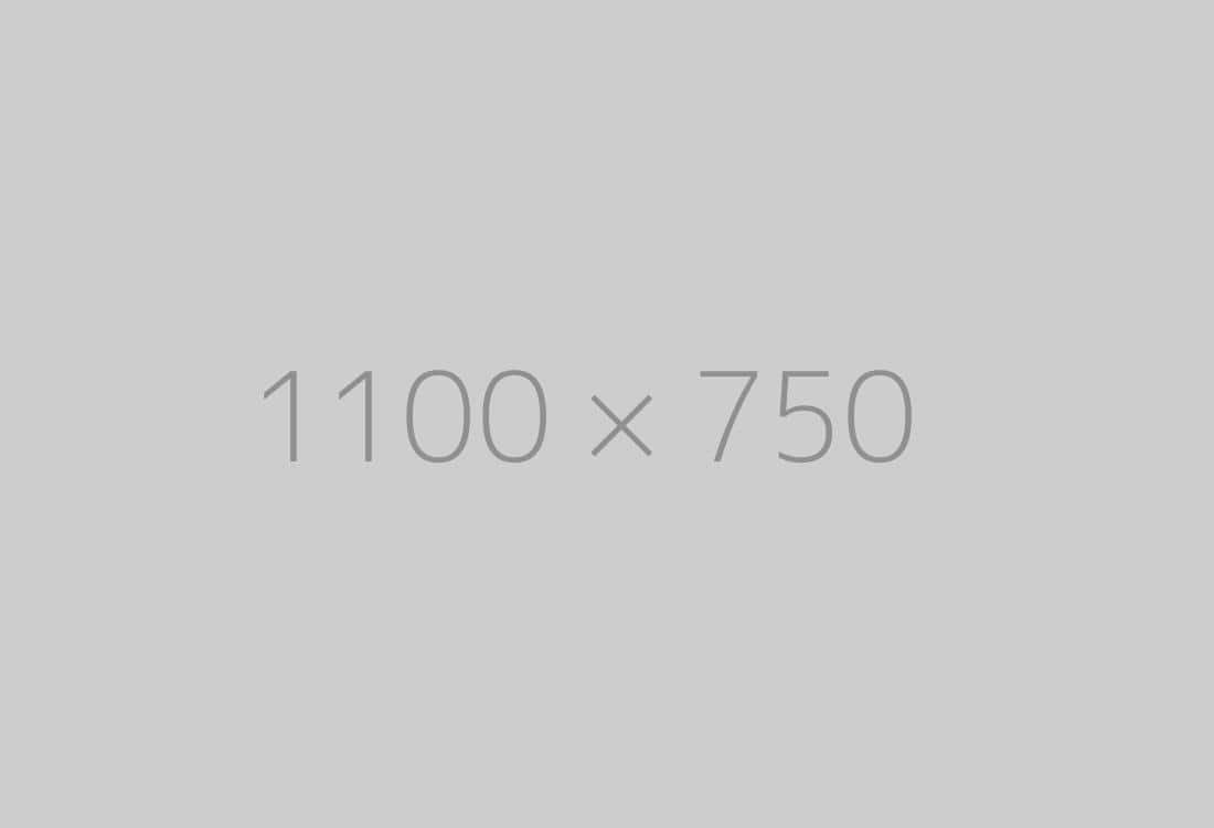 hongo 1100x750-ph