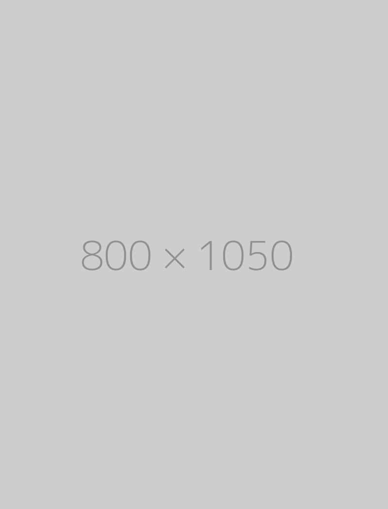 hongo 800x1050-ph