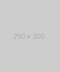 hongo 250x300-ph
