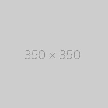 hongo 350x350-ph