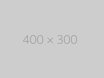 hongo 400x300-ph
