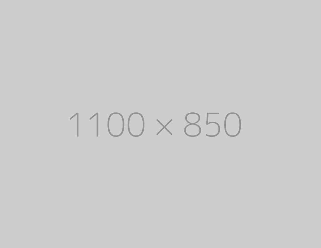 hongo-1100x850-ph