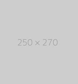 hongo-250x270-ph