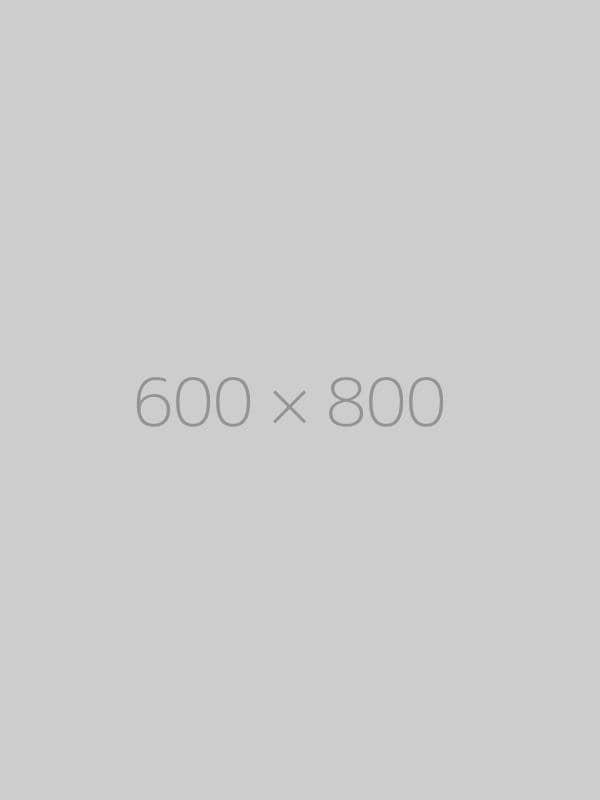 hongo-600x800-ph