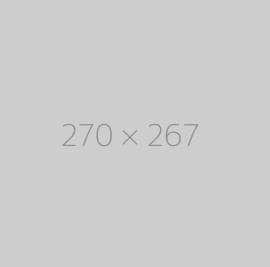 hongo-270x267-ph
