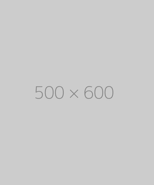 hongo-500x600-ph