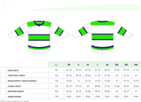 ice hockey