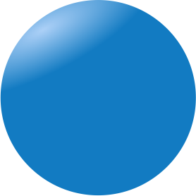 Lions Blue