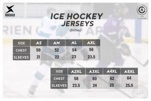 ice hockey chart