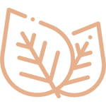 coffee_leaf.png