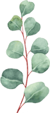 leaf.png
