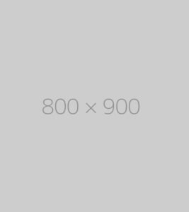 hongo-800×900-ph.jpg